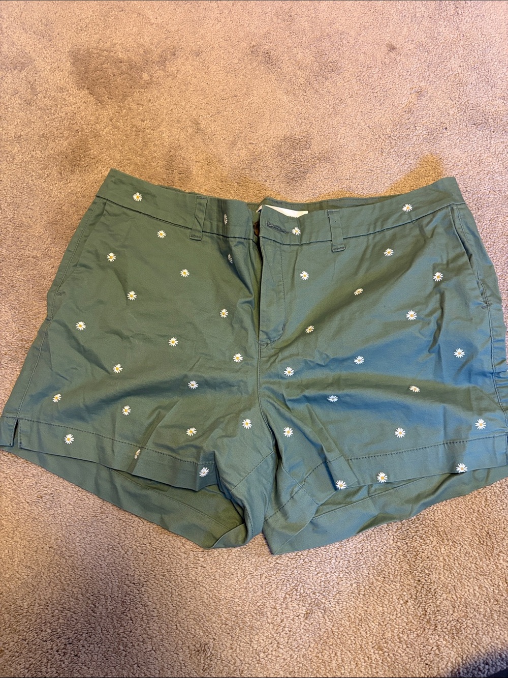 Old Navy Green Daisy Embroidered Women's Shorts